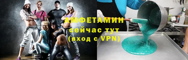 шишки Горно-Алтайск