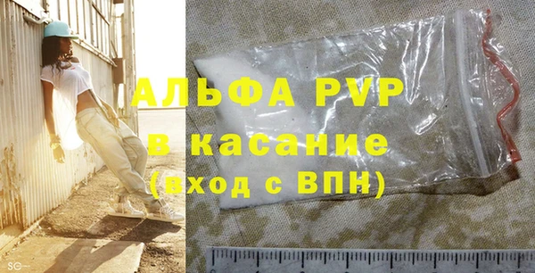 шишки Горно-Алтайск