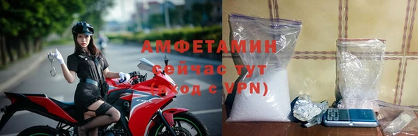 шишки Горно-Алтайск