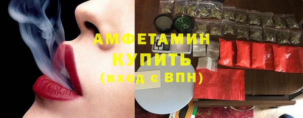 шишки Горно-Алтайск