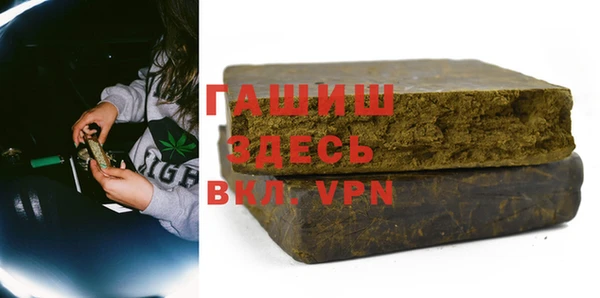 шишки Горно-Алтайск