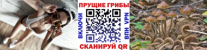 Галлюциногенные грибы Cubensis  Долинск 